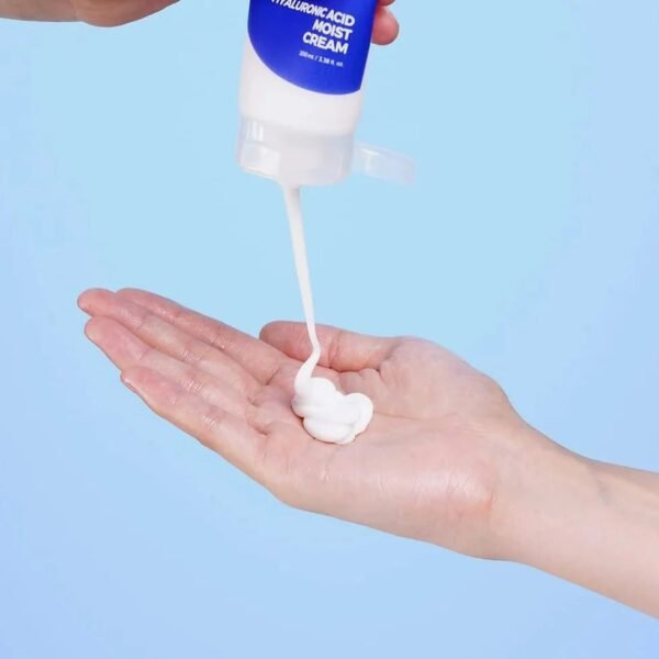 isntree hyaluronic acid moist cream